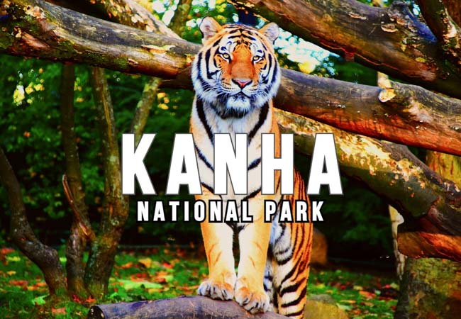 Parco Nazionale di Kanha