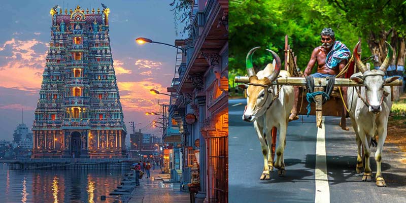 Viaggio in India del Sud: Tamil Nadu e Karnataka (14 Giorni / 13 Notti)