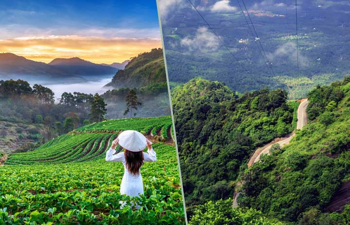 Munnar