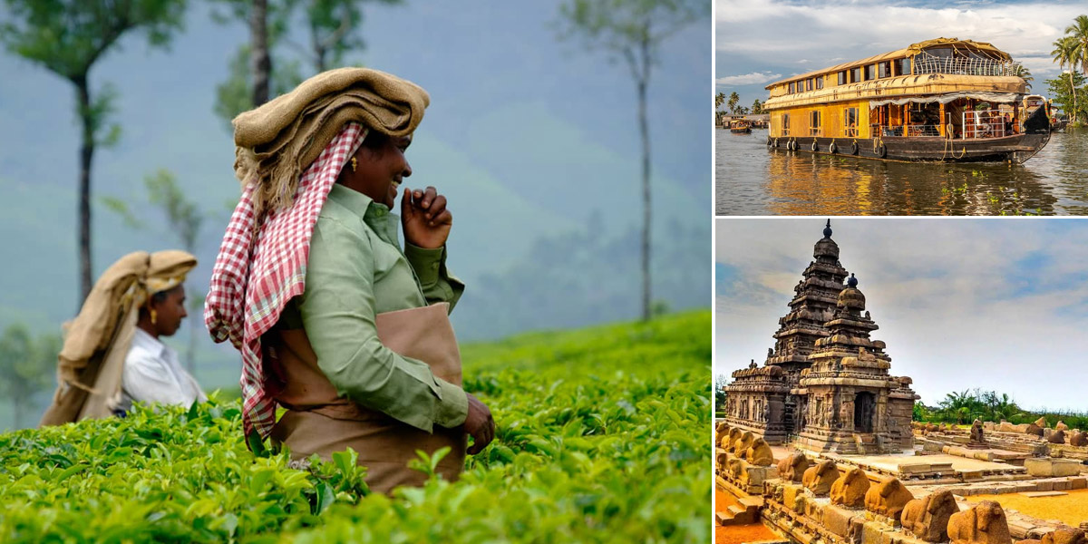 India del sud, cosa fare in Kerala in (11 notti / 12 giorni)