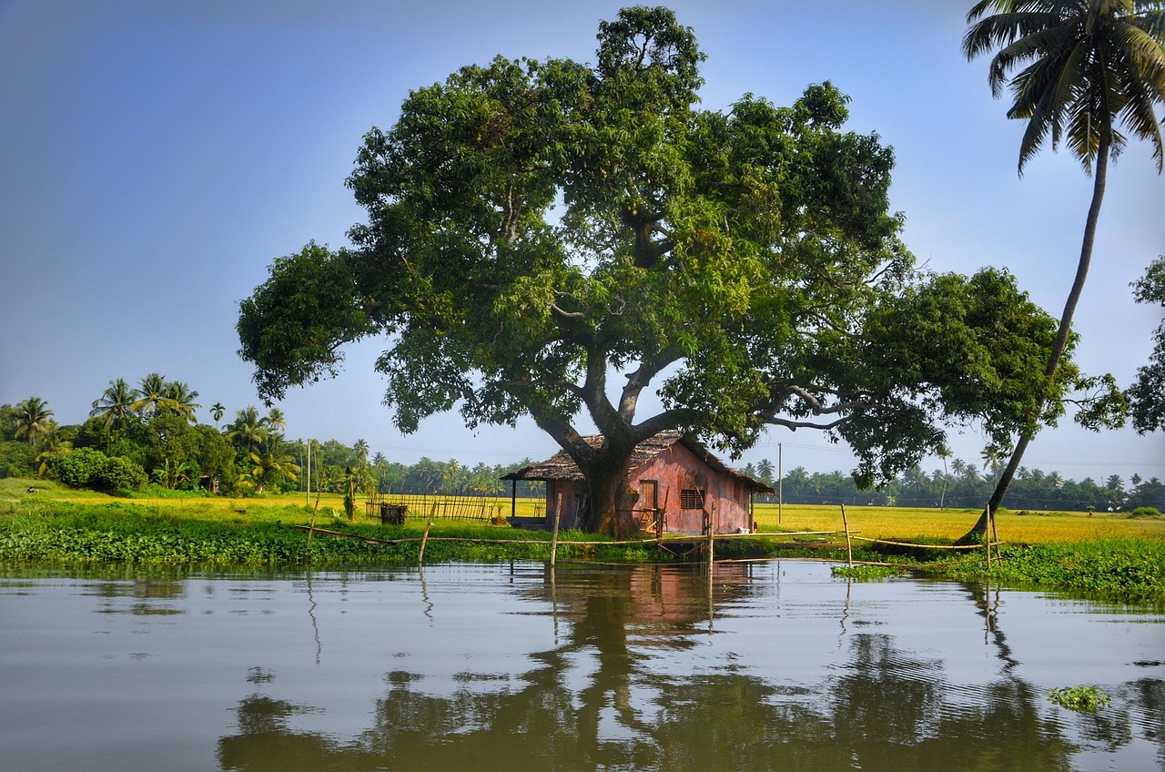 (6 notti / 7 giorni) Tour organizzato nel Sud dell'India a Dicembre