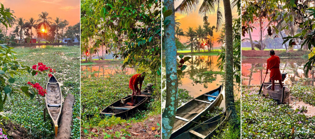 Viaggi Kerala: Tour di 12 giorni con Munnar, Thekkady e Kovalam
