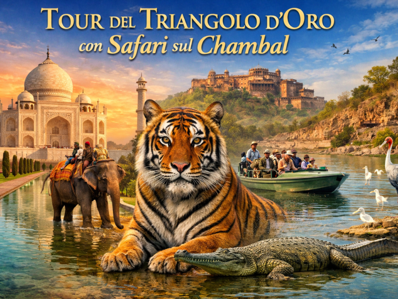 Tour del Triangolo d'Oro con Safari sul Chambal