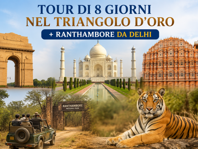 Tour di 8 Giorni nel Triangolo d'Oro + Ranthambore da Delhi