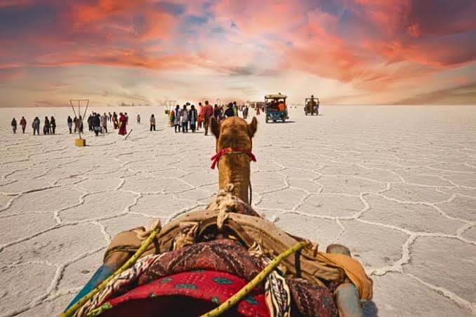 Tour del Gujarat con Rann of Kutch di 10 Giorni