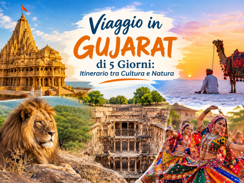 Viaggio in Gujarat di 5 Giorni Itinerario tra Cultura e Natura