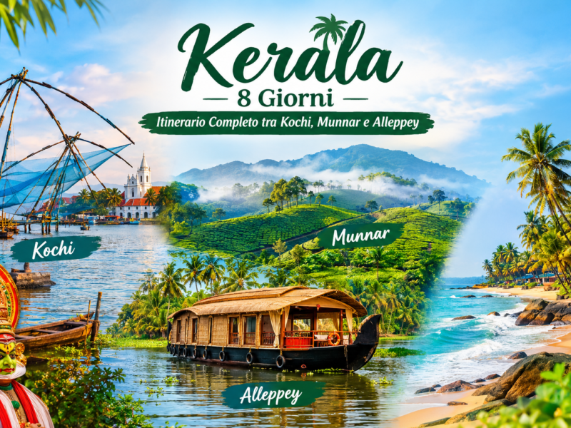 Kerala 8 Giorni – Itinerario Completo tra Kochi, Munnar e Alleppey